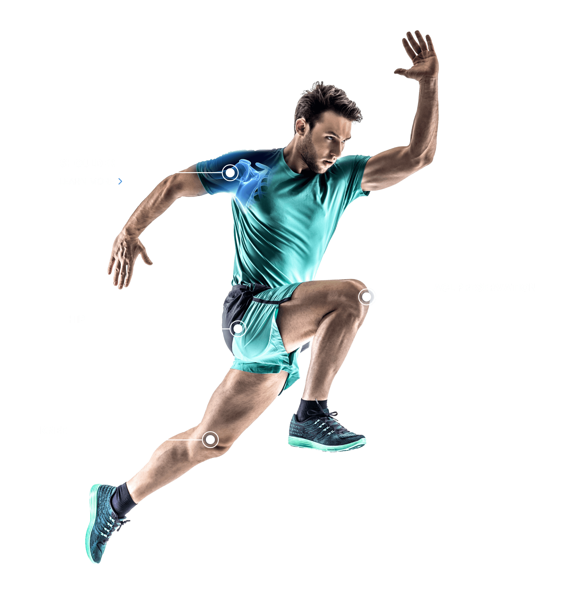 Dr. Gregory DiFelice | Sports Medicine Surgeon NYC | Paramus NJ